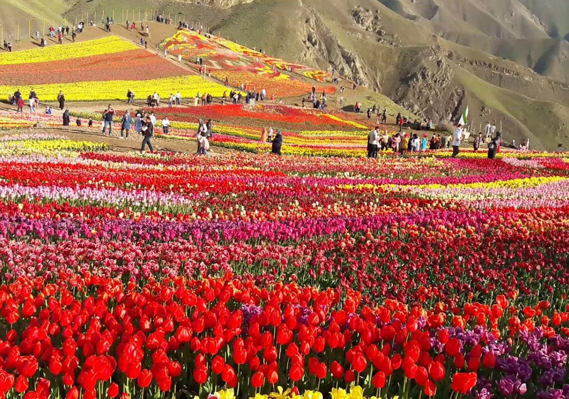 روستای کندر کجاست؟