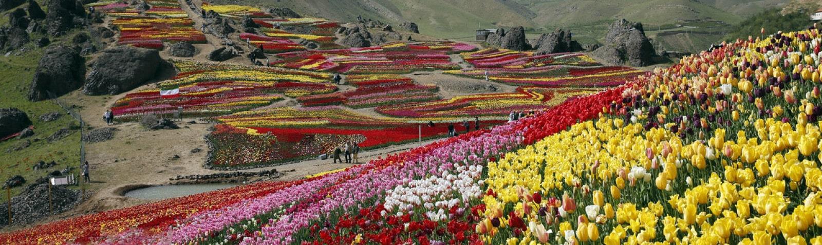 روستای کندر کجاست؟